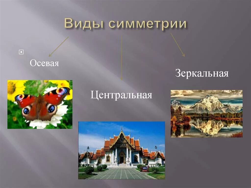 Симметрия виды. Виды симметрии. основные виды симметрии. виды симметрии центральная осевая зеркальная. виды симметрии с примерами.