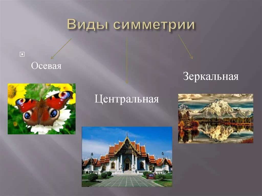 Осевая симметрия вид. Виды симметрии. Основные виды симметрии. Симметрия изображения виды. Виды симметрии с примерами.