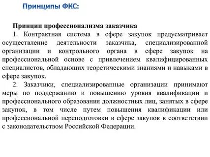 Принцип профессионализма заказчика в сфере закупок