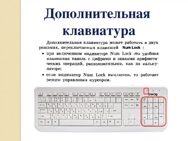 Клавиши цифры не работают. Клавиши сбоку на клавиатуре название. Клавиши дополнительной клавиатуры. Вспомогательные клавиши на клавиатуре. Дополнительная клавиатура на клавиатуре.