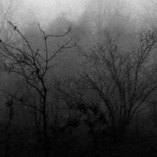Black wind