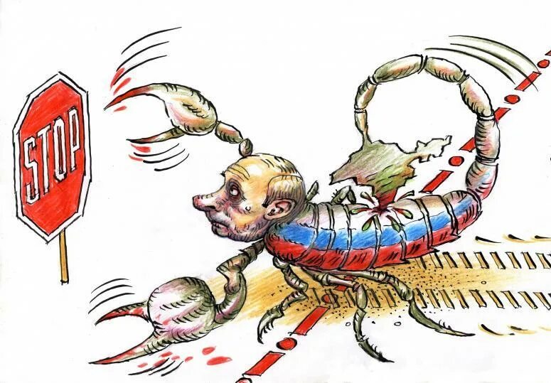 Кот скорпион. Скорпионы в россии.
