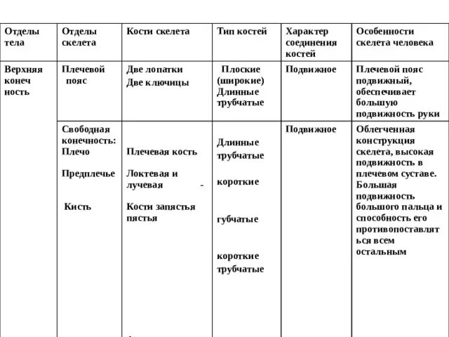 Соединение костей особенности строения конечностей. Соединения костей скелета таблица. Скелет нижних конечностей таблица. Биология 8 класс таблица отделы тела отделы скелета кости скелета. Скелет верхней конечности человека таблица.