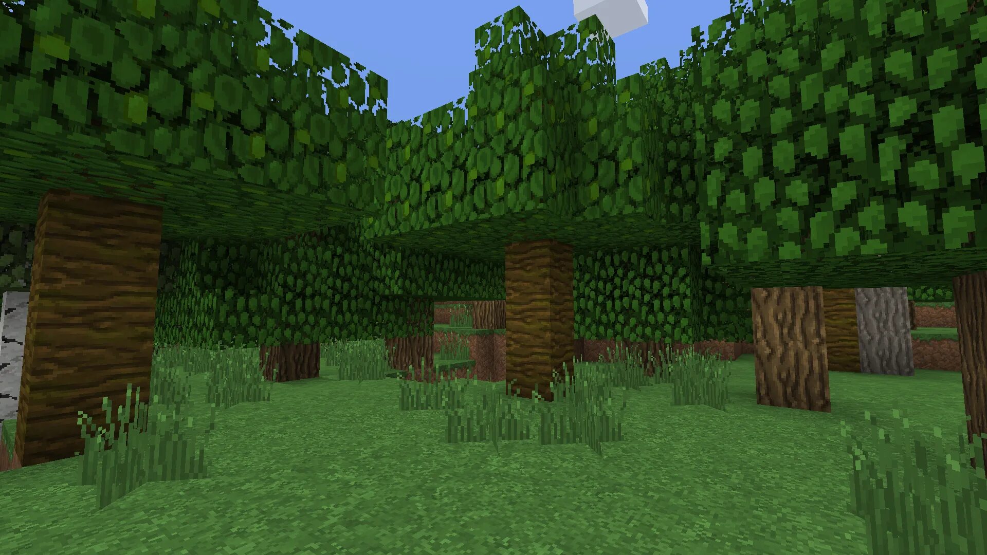 Сид майнкрафт лес. Minecraft лес. Декор для леса в майнкрафт. Душистый лес майнкрафт. Крипипаста майнкрафт СИДЫ.