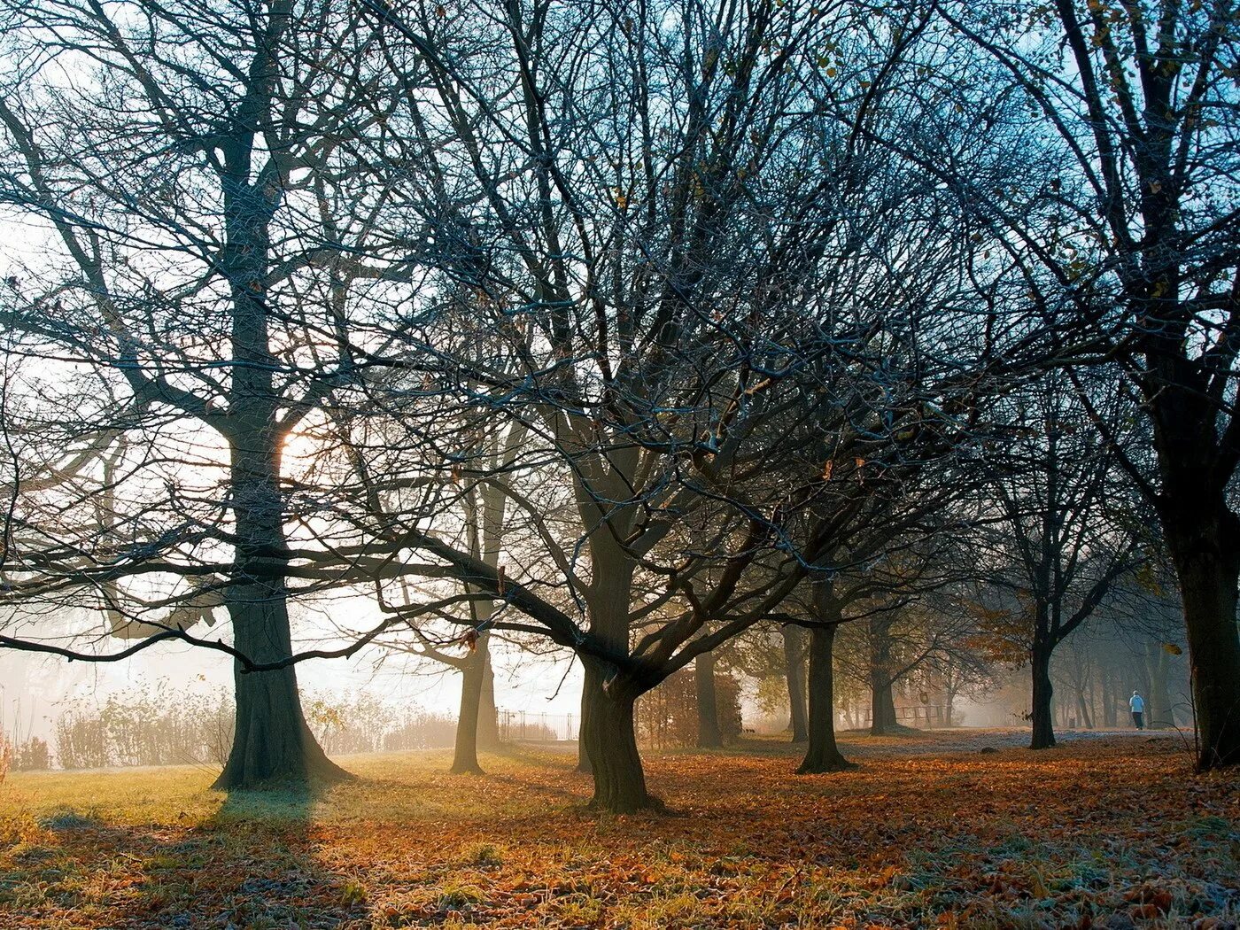 Осенний дом. Паустовский золотая осень. В саду уже поселилась осень паустовский. Осенние листья под ногами. Уютный осенний домик.