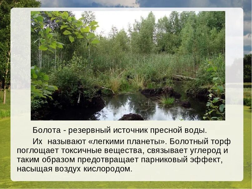 В болоте пресная вода. Источники пресной воды. Болота легкие планеты. Назовите источники пресной воды. Перечисли пресные источники воды.