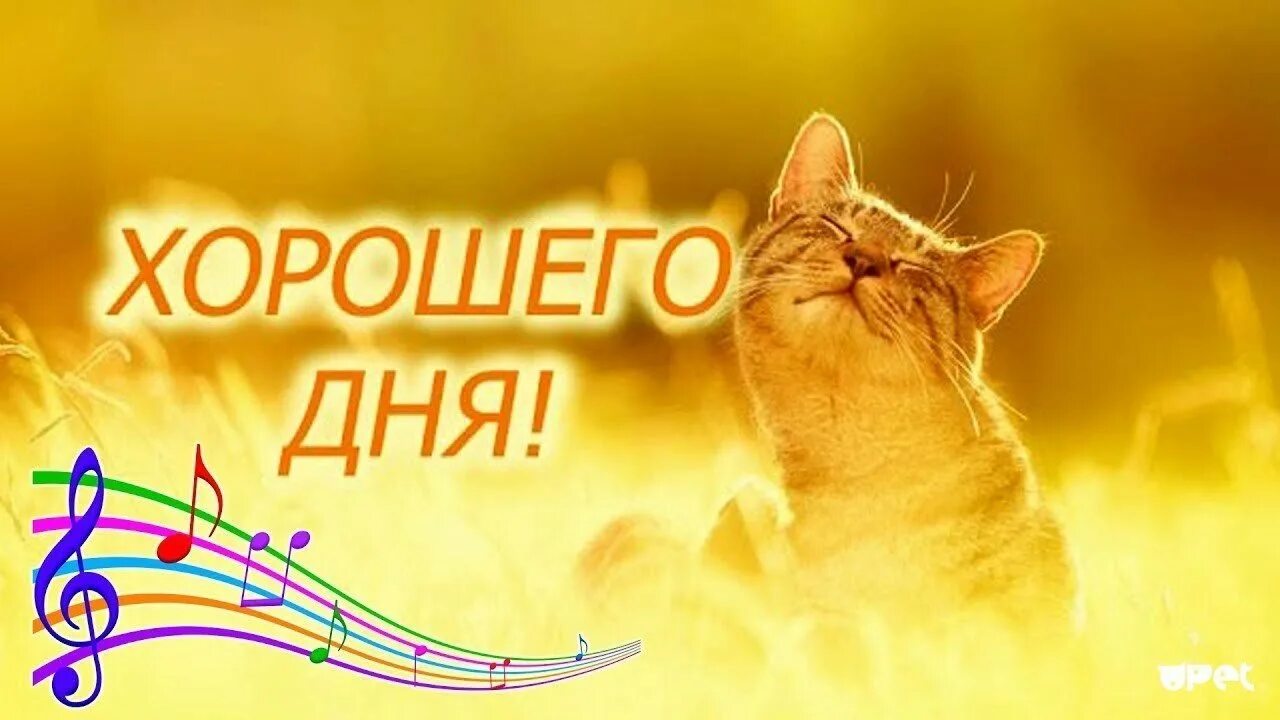 Удачного дня и хорошего настроения мужчине картинки. Отличного дня. хороший день. хорошего дня и отличного настроения. хорошего дня картинки.