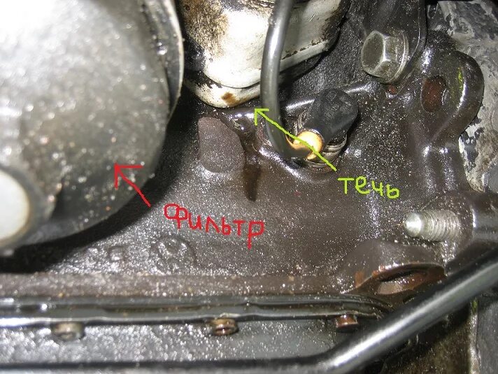 Масло моторное течет. Тоечи масло. Протечка масла в двигателе. Течь моторного масла из двигателя. Откуда может течь масло в двигателе