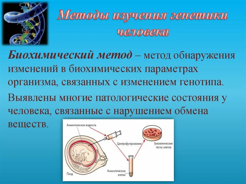 Генетические методы изучения человека. Биохимический метод изучения наследственности. Биохимический метод генетика. Биохимический метод изучения человека. Биохимические методы исследования генетики человека.