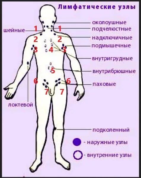 Ответы Mail.ru: Уплотнение на бедре