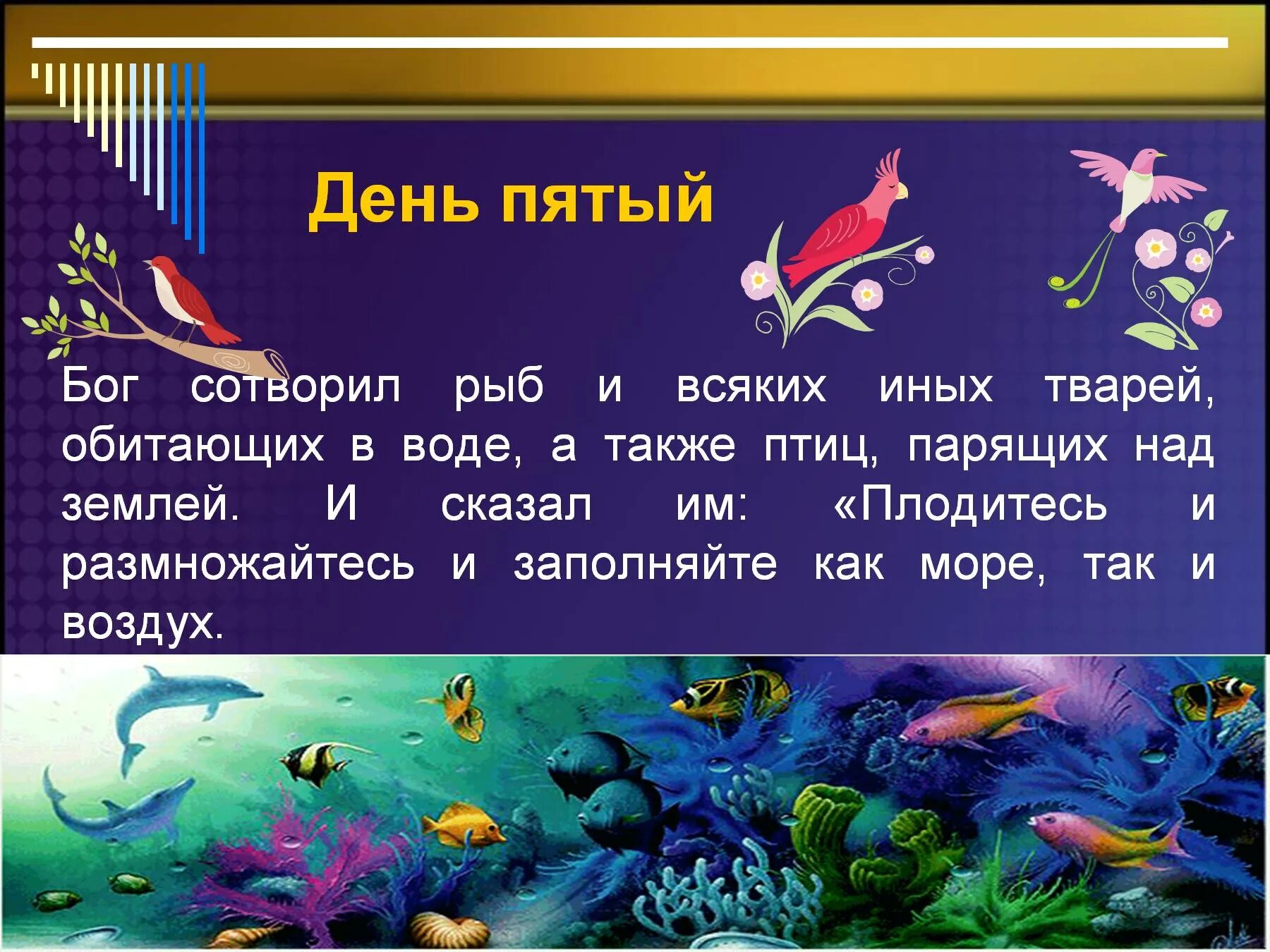 Сколько лет бог создавал землю
