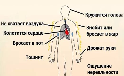 Тяжело дышать и бьется сердце. Сердце колотится и трудно дышать. Бросает в Жар сердце колотится. Кружится голова и трясутся руки. Голова стучит сильно