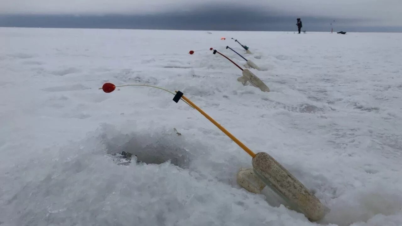 Рыбалка на финском заливе зимой. Ловля корюшки на дамбе. Рыбалка на корюшку на финском заливе. Ловля корюшки зимой на финском заливе. Клев корюшки на финском
