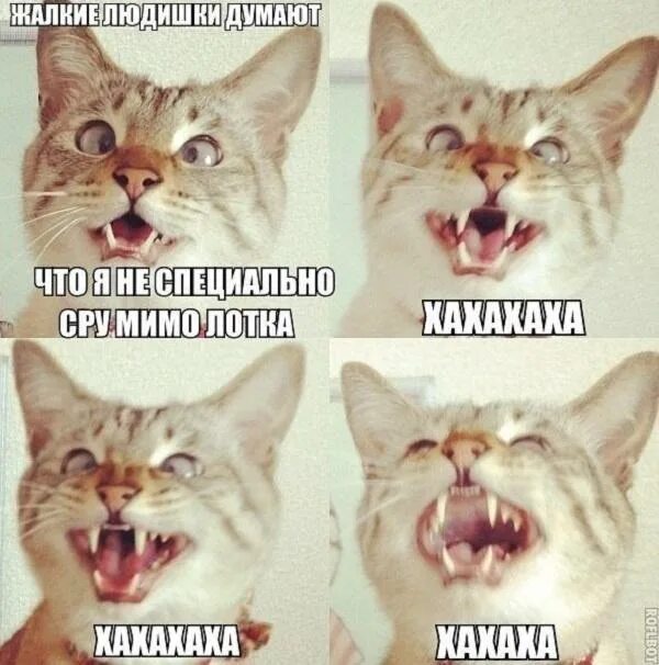 Как начать быть серьезным