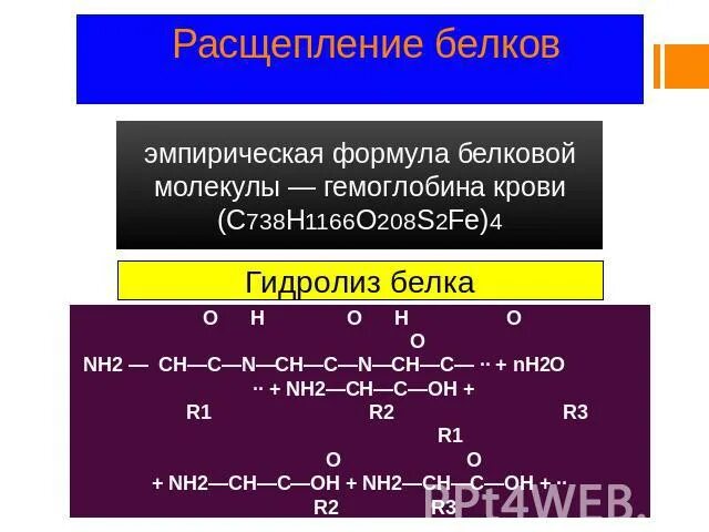 2 распад уравнение. Эмпирическая формула гемоглобина. Гидролиз гемоглобина. Формула гемоглобина в химии. Белковая молекула гемоглобина формула.