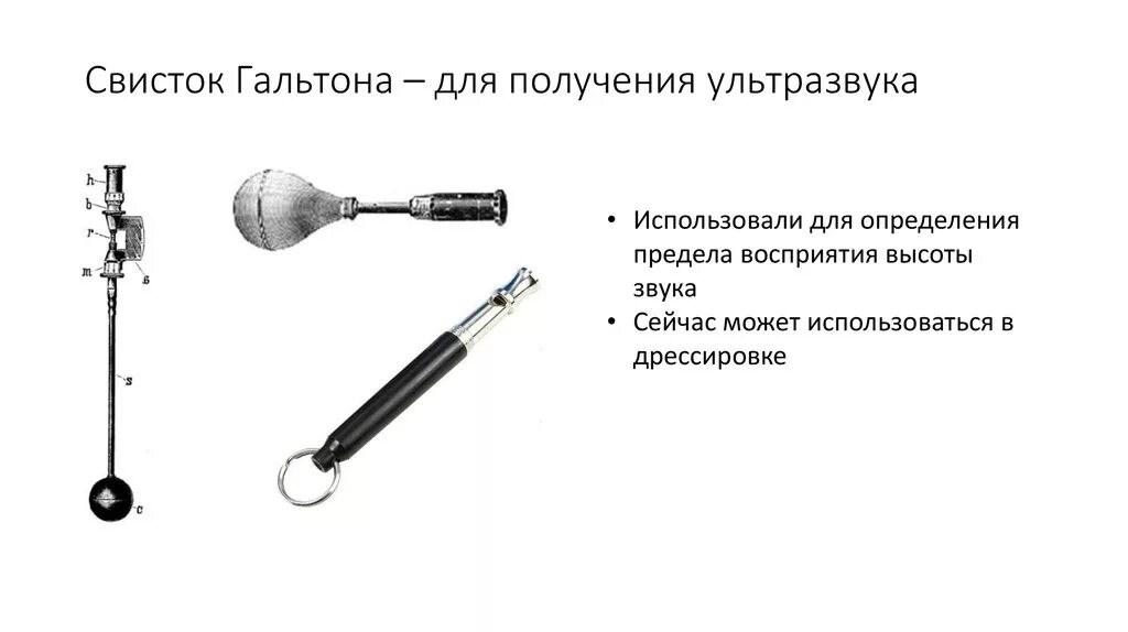 Свисток гальтона ультразвук. Свисток гальтона ультразвук. Фрэнсис гальтон свисток. Фрэнсис гальтон ультразвук. Генератор ультразвука гальтона.