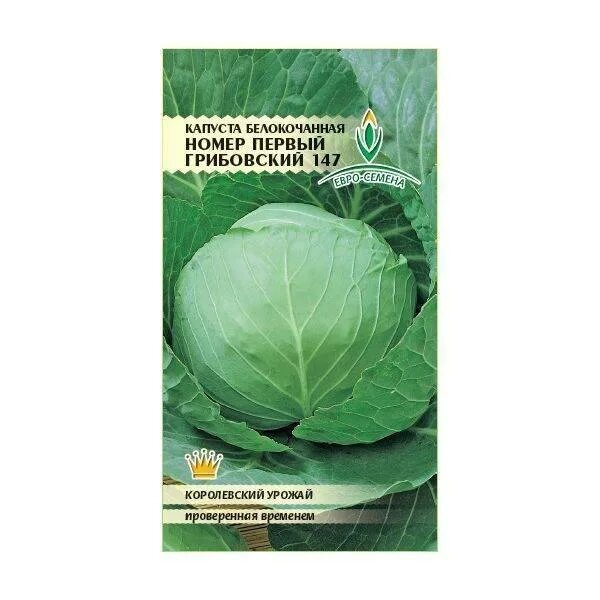 Капуста первый номер. Капуста номер первый Грибовский 147. Капуста сорт Грибовский. Капуста белокочанная Грибовский. Капуста белокочанная Грибовский 147.