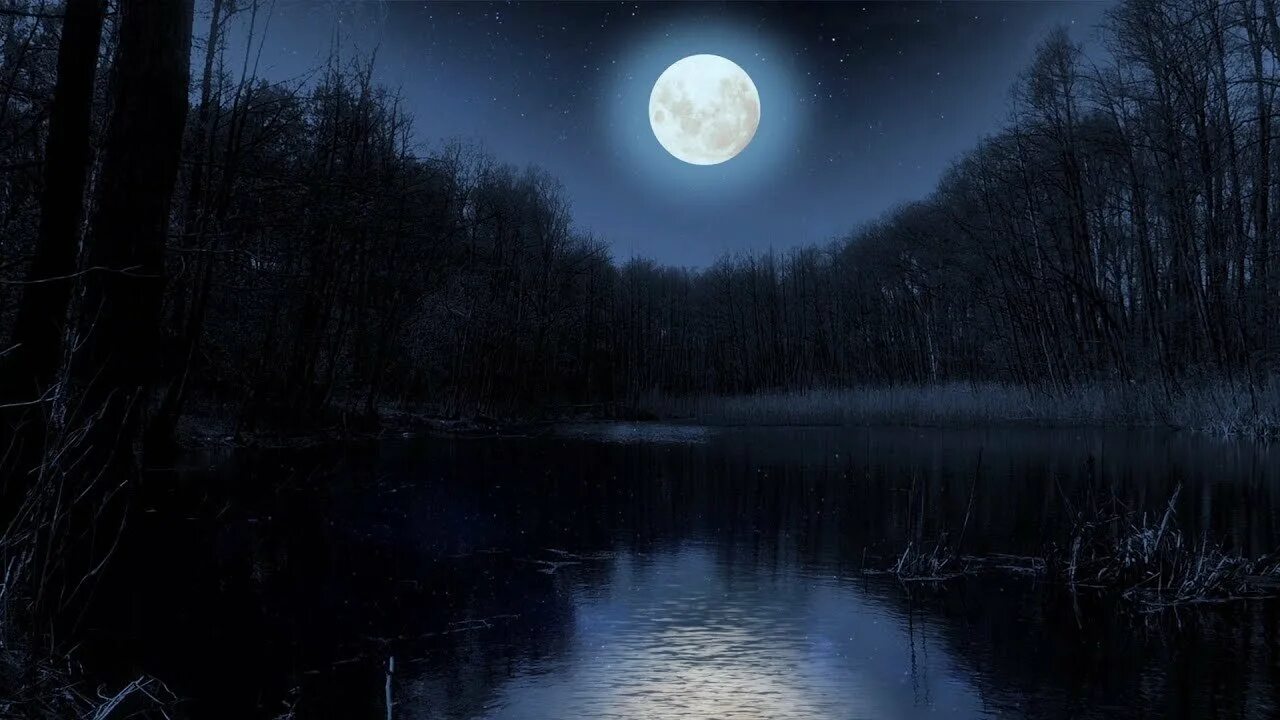 Лунном болоте. Ночное озеро в лесу. Ночь река лес. Ночь Луна река. Река ночью.