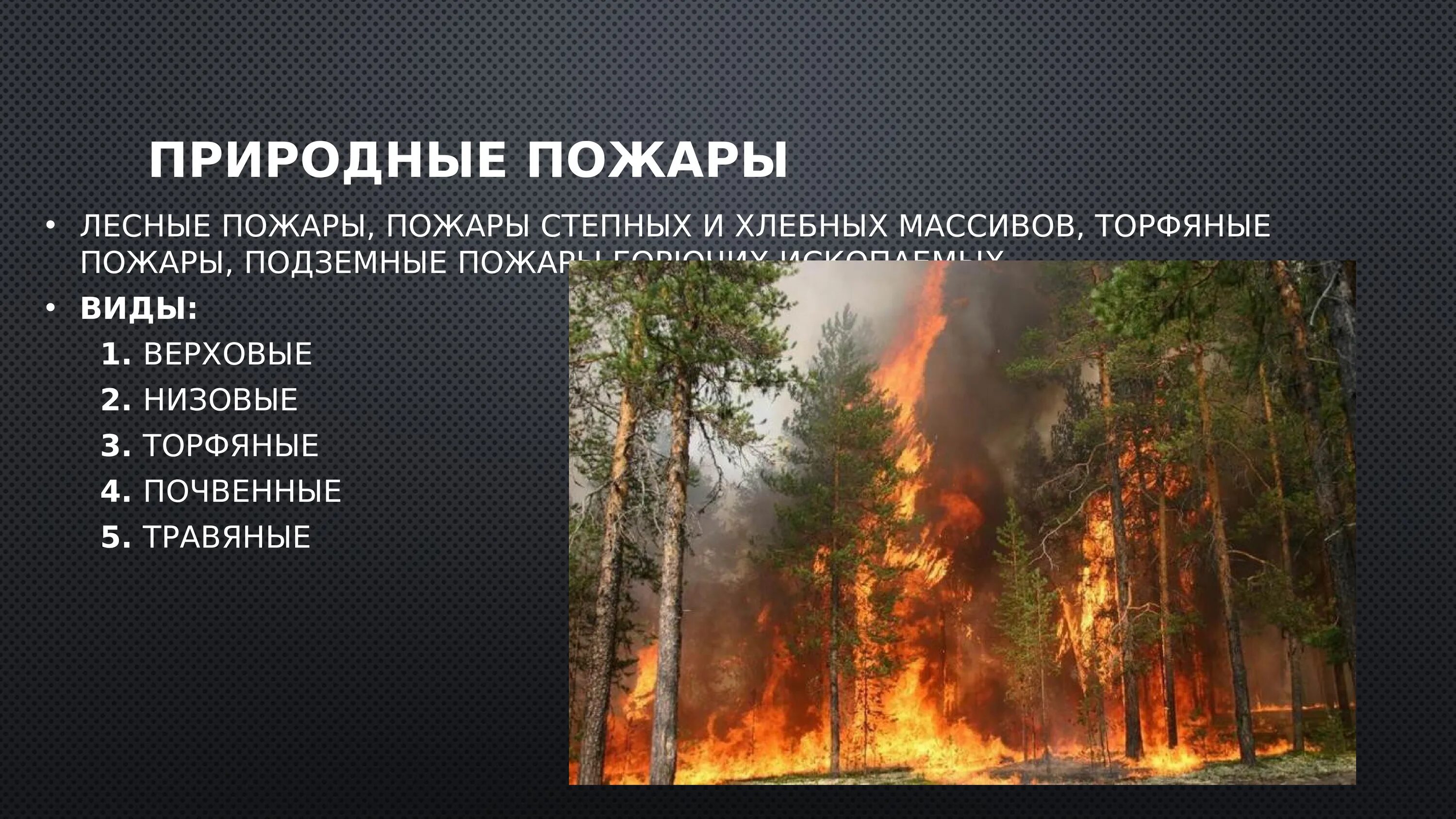 ЧС природного характера Лесные пожары. Природные пожары ЧС примеры. ЧС природного характера Лесные и торфяные пожары. Лесные и степные пожары. Природный пожар определение