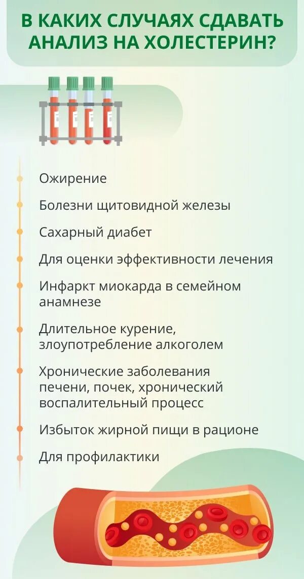 Причины высокого холестерина. Норма холестерина в крови у женщин. Причины повышения холестерина в крови. Что повышает холестерин.