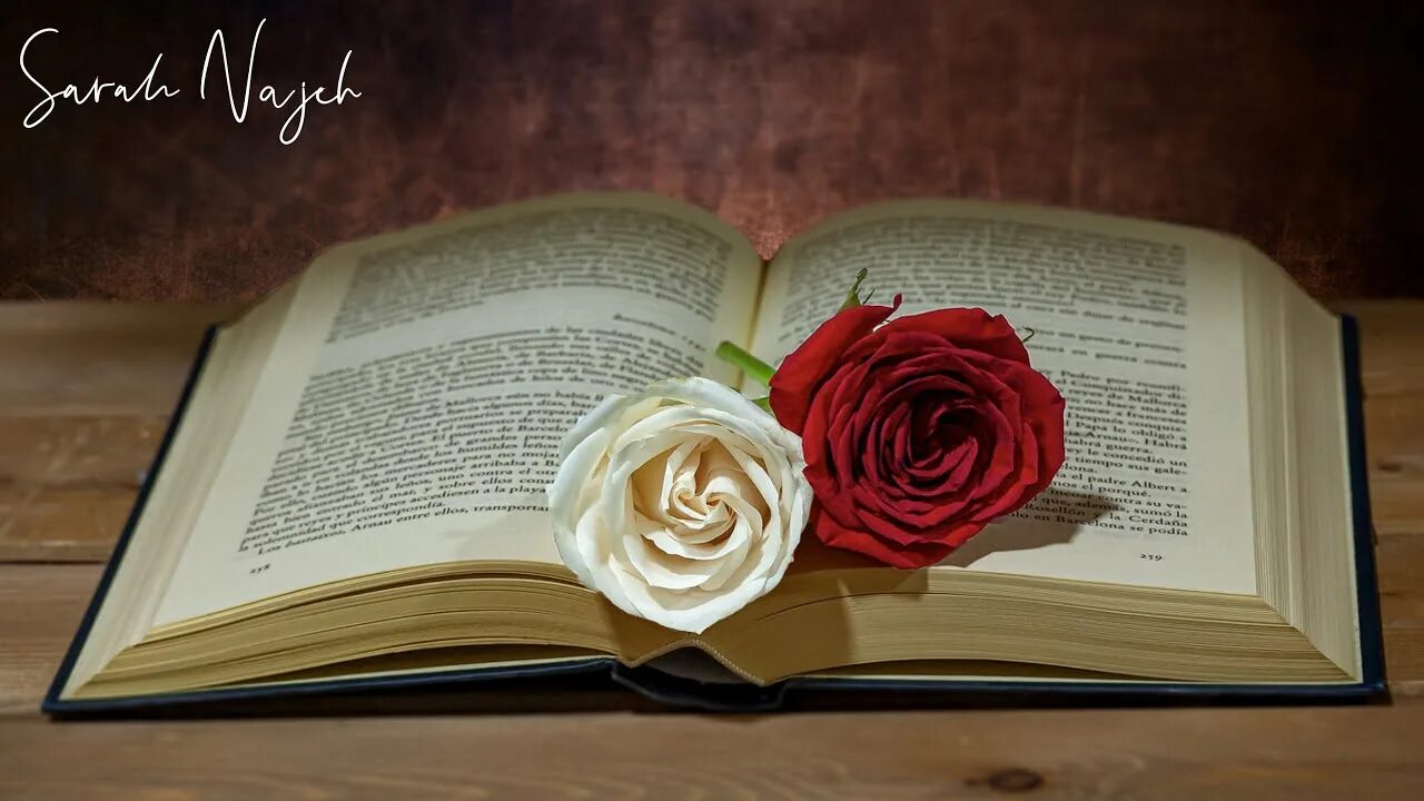 Книга цветы. Раскрытая книга. Цветы и книги фото красивые. Книга цветы. Книги на обложке с красной розой.