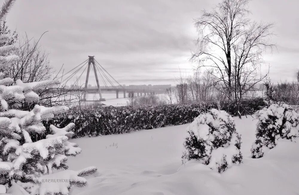 Череповец снег. Череповец снег. Макаринская роща череповец зимой. Снег в череповце. Череповец снег.