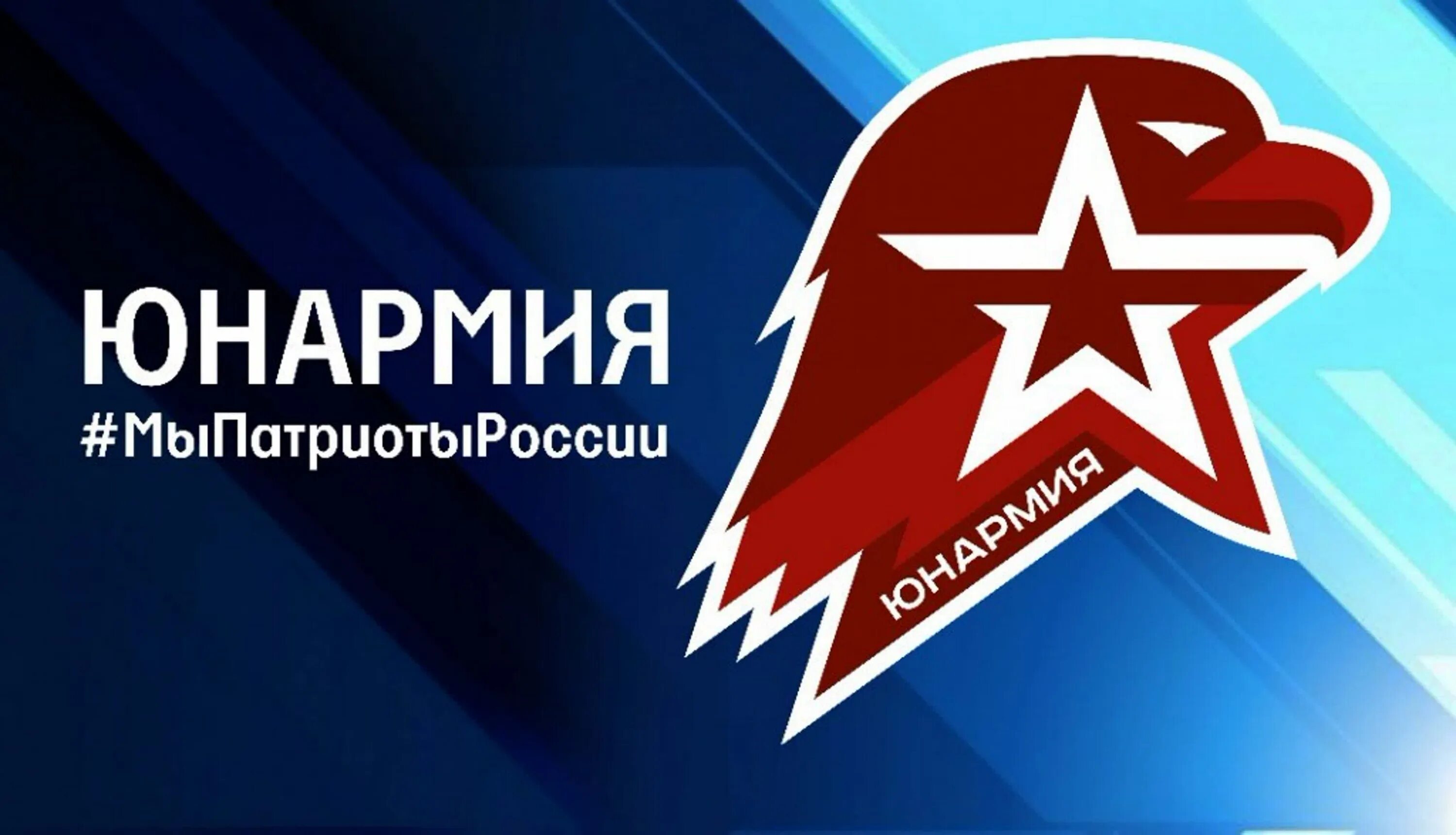 Эмблема юнармии. Юнармия эмблема. юнармия баннер. юнармия герб. юнармия фон.