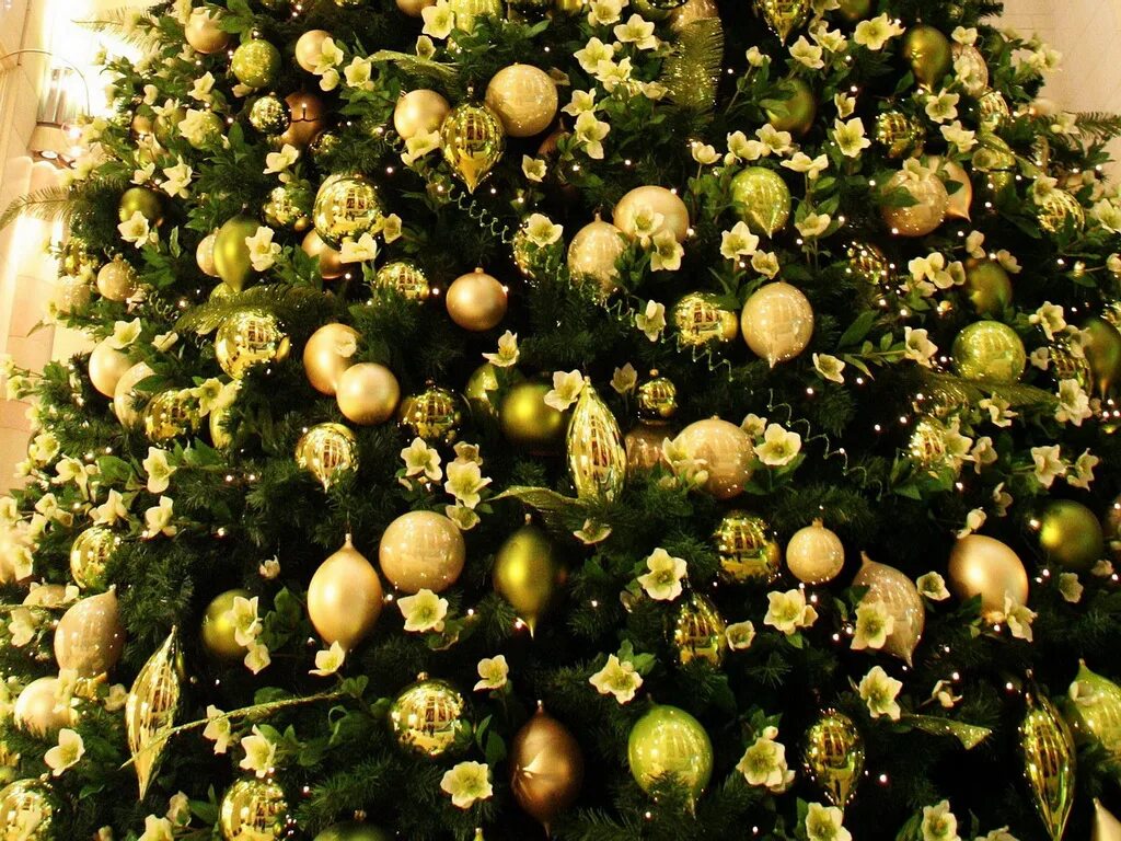 10 популярных идей на тему "albero di natale verde" для вдохновения