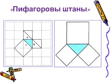 Пифагоровы штаны рисунок