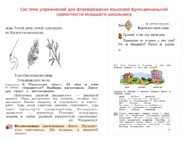 Задания на формирование языковой грамотности 4 класс. Функциональная грамотность 3 класс задания. Методики для развитие языковой грамотности. Грузинская сказка Лев и заяц 1 класс функциональная грамотность.