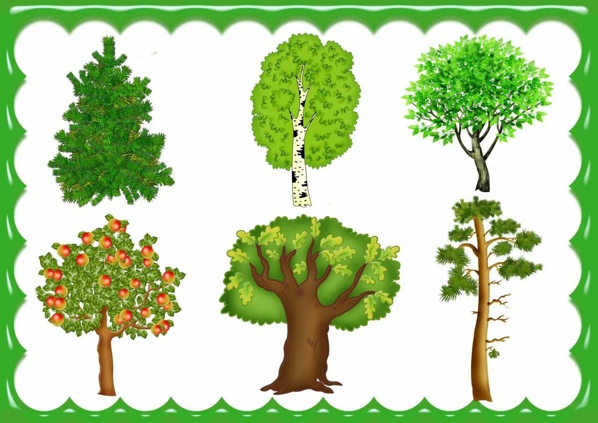Игра деревья картинки. Деревья для дошкольников. Детям о деревьях в детском саду. Дерево для детей. Дерево картинка для детей.