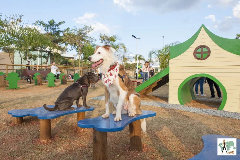 Pets parking. Mushrif Park Pets. Petpark. Nice Park for Pets.