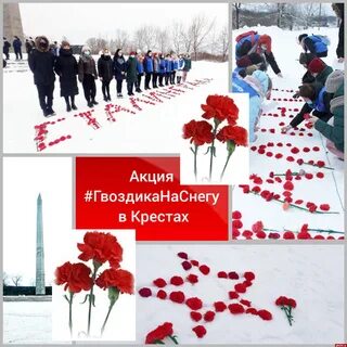 Песня алые гвоздики на снегу