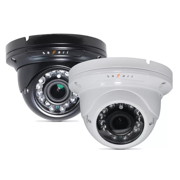 Сафари камера. Камера сафари. Лейка фотоаппарат 2020. Сафари камера. Видеокамера с sdi.