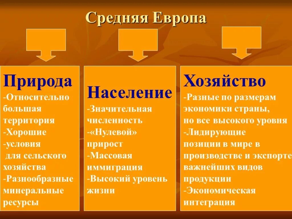 Уровень развития восточной европы. Хозяйство средней Европы. Средняя Европа. Особенности средней Европы. Средняя Европа характеристика.