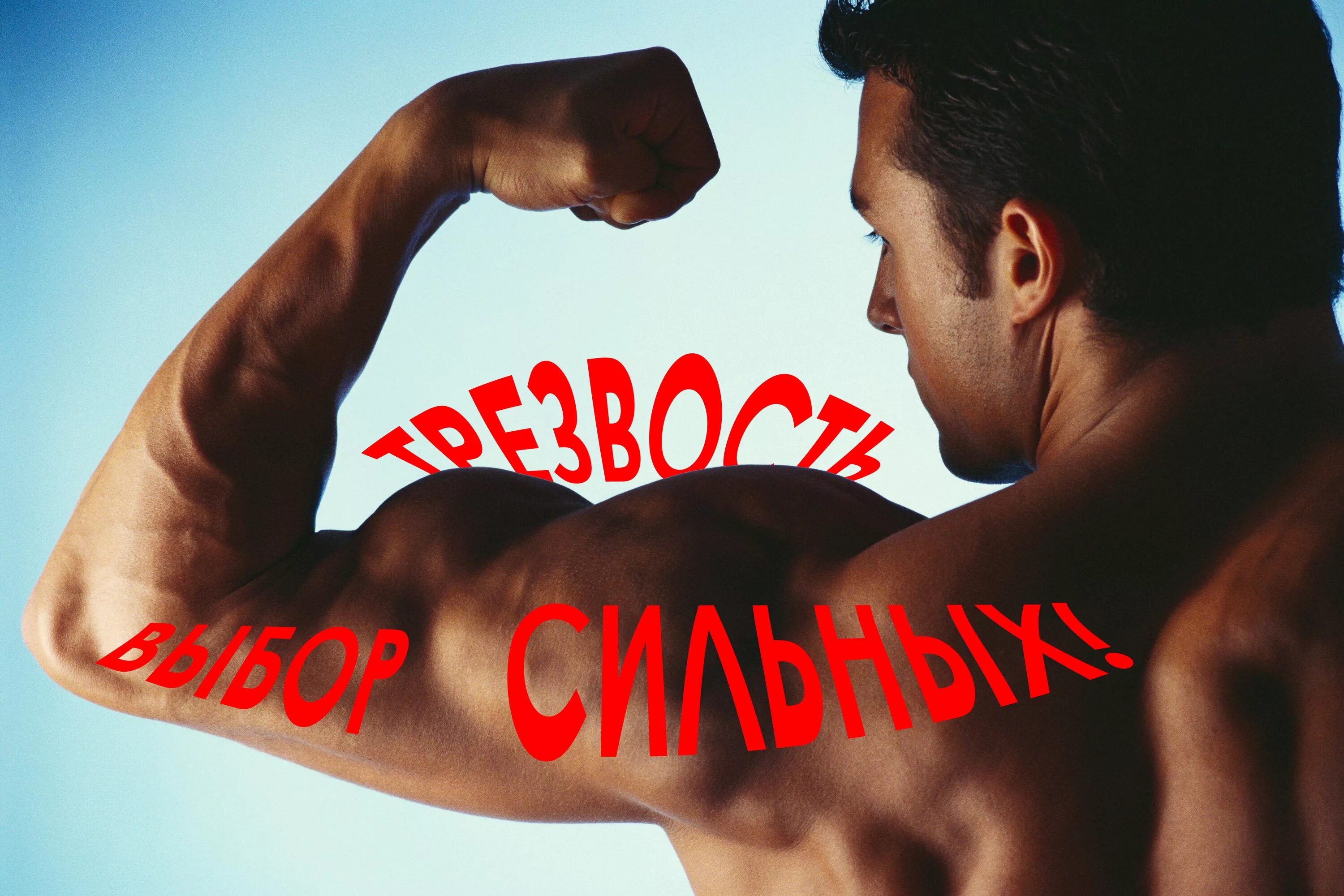 стикер "зож". трезвый муж. трезво. трезвый мир. надписи про трезвость.