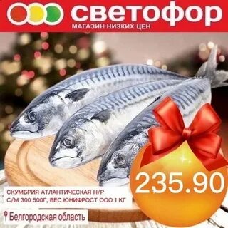 Магазин светофор белгород