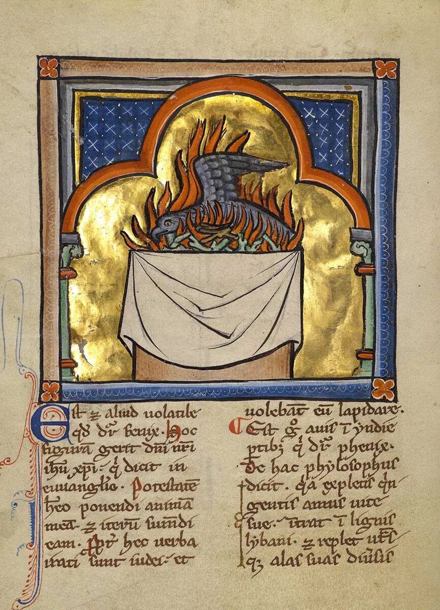 Franco Manuscript. Bestiary Therouanne.