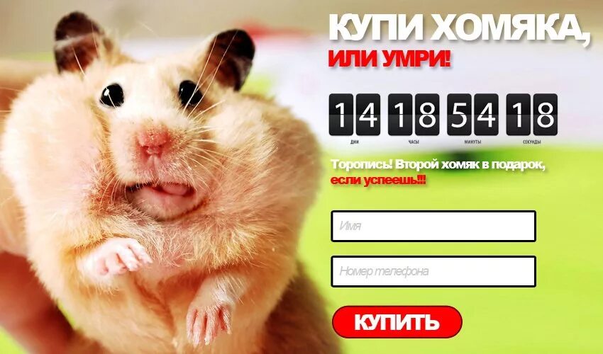 Включи программу хомяк. Реклама с хомяком. смешной лендинг. плохие лендинги. примеры плохих лендингов.