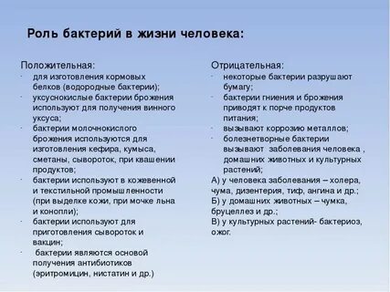 Роль бактерий кратко 5 класс