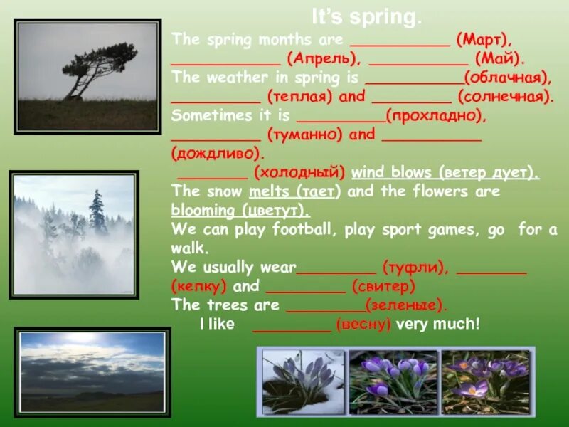 Was the best in spring. Проект по английскому на тему Весна. Презентация на английском языке на тему Весна. Spring месяцы. Weather in Spring.
