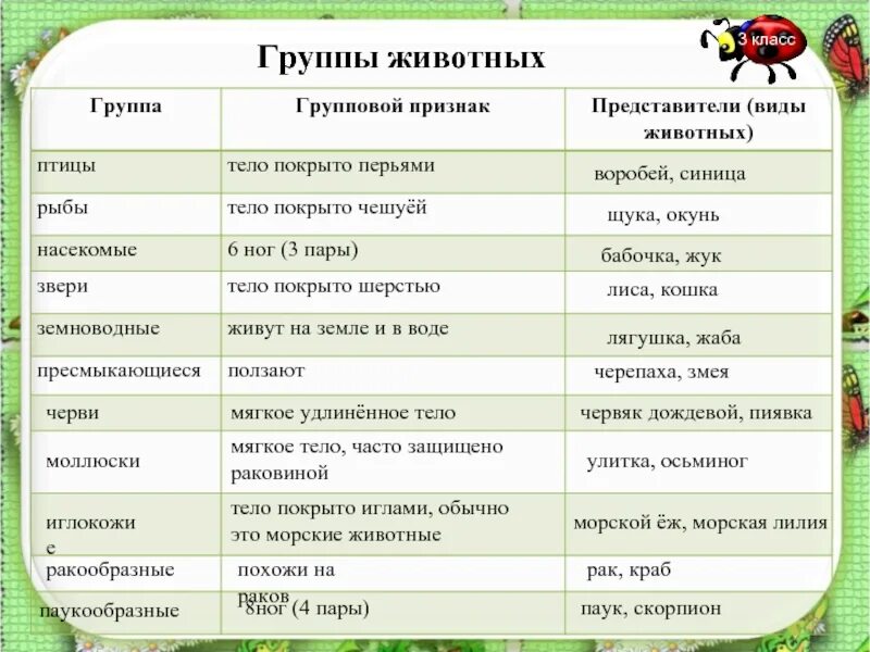 Классификация животных окружающий мир 3 класс. Разнообразие животных таблица 3 класс. Группы животных 3 класс окружающий мир таблица. Таблица по окружающему миру 3 класс разнообразие животных. Группы животных и их представители в таблице 3 класс.