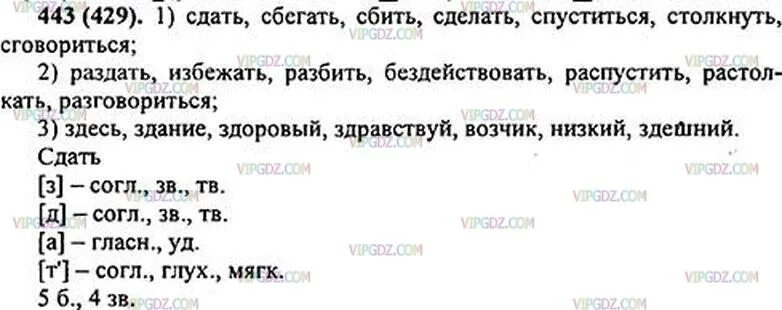 Русский язык 7 класс упражнение 443. Русский язык 5 класс упражнение 443. Русский язык 5 класс 2 часть номер 443. Русский язык 5 класс 2 часть страница 31 упражнение 443. Раздать сдать сбегать.