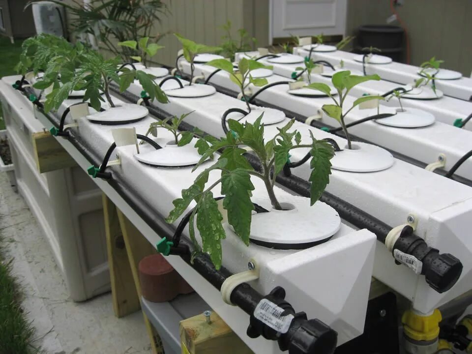 Аэропоника своими руками чертежи. Клубника гидропоника 110 канализационная. Гидропонная система dwc чертежи. Фитильный полив гидропоника. Фитильный полив гидропоника.