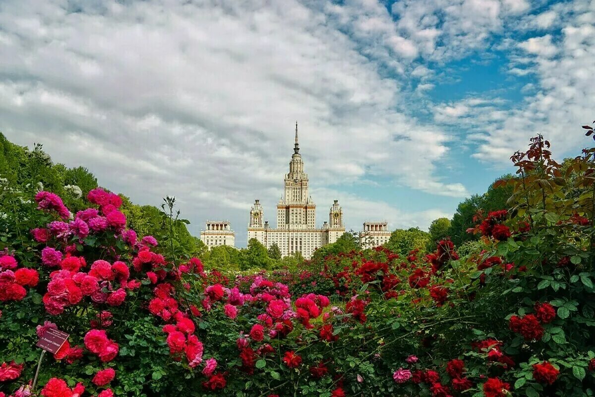 Сайт ботанического сада мгу. В. Ботанический сад мгу воробьевы горы. Ботанический сад мгу. Ботанический сад мгу на ленинских горах.