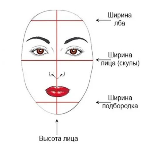 Замирает какое лицо. Овальное лицо схема. Форма лица овал. Пропорции овального лица. Определить форму лица.