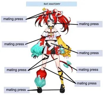 Slideshow what is a mating press.