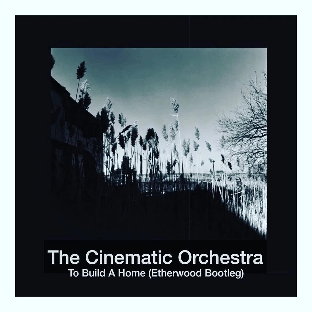 The cinematic orchestra to build a home. To build a Home the Cinematic. To build a Home the Cinematic Orchestra. Группа the Cinematic Orchestra. Cinematic Orchestra "ma fleur".
