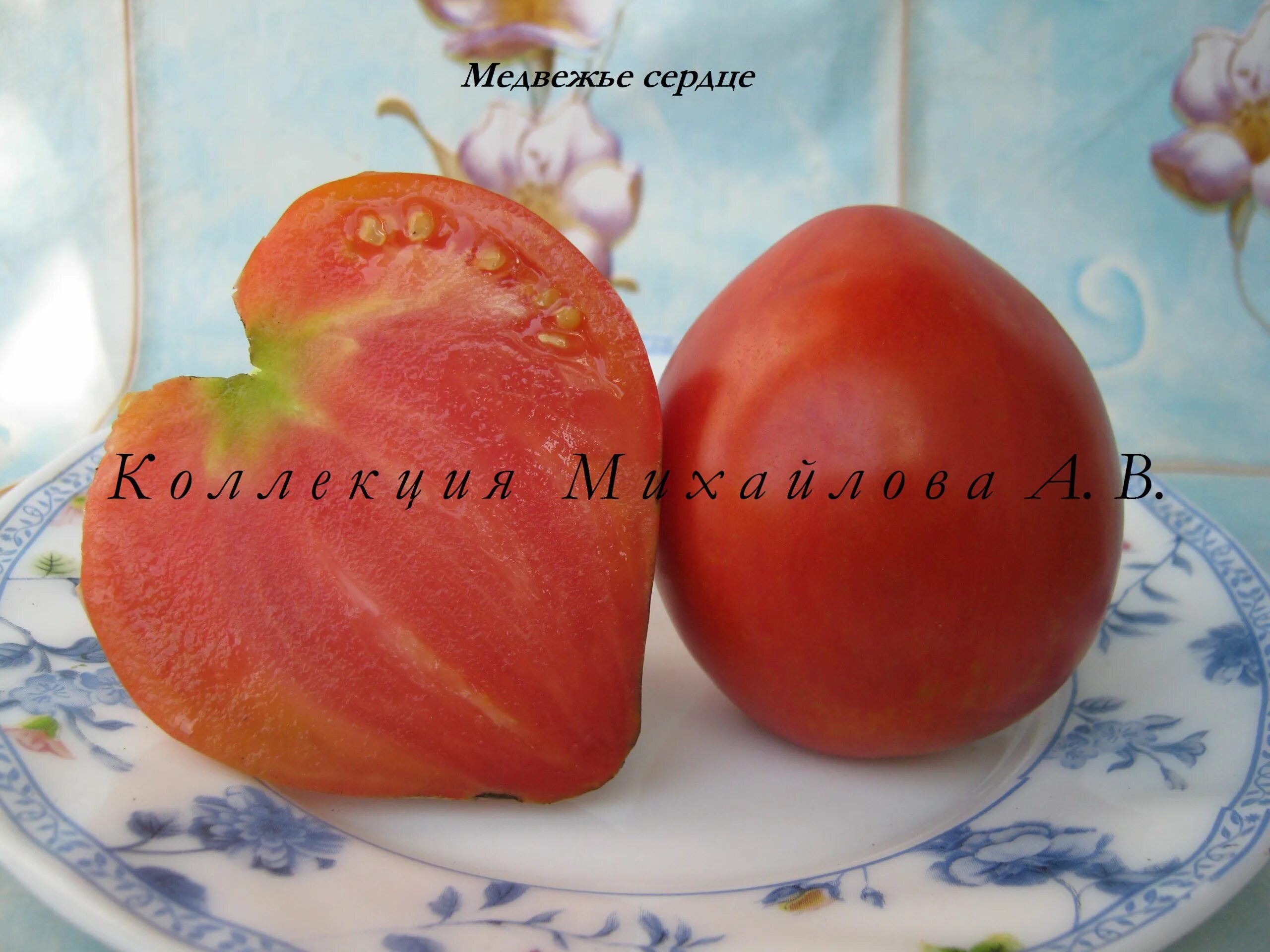 Медвежье сердце фото