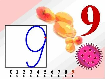 Число 9 видеоурок